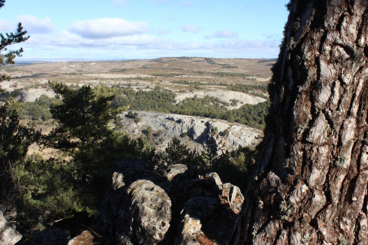 Casas Rurales Chon Alto Tajo Peralejos de las Truchas Exteriör bild