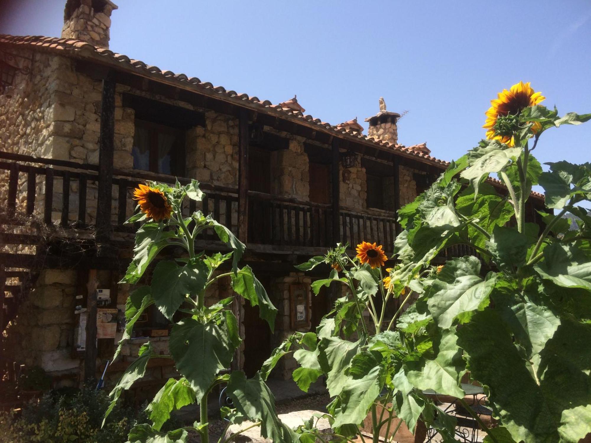 Casas Rurales Chon Alto Tajo Peralejos de las Truchas Exteriör bild
