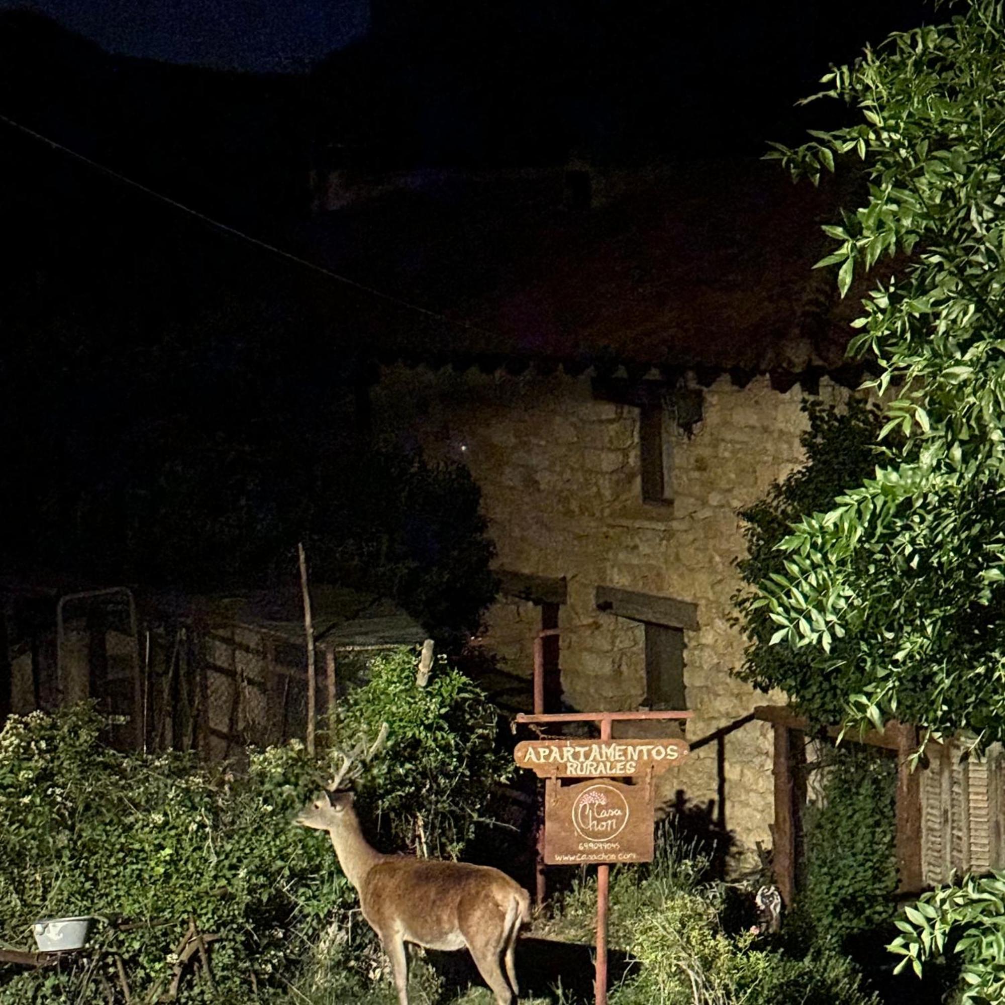 Casas Rurales Chon Alto Tajo Peralejos de las Truchas Exteriör bild